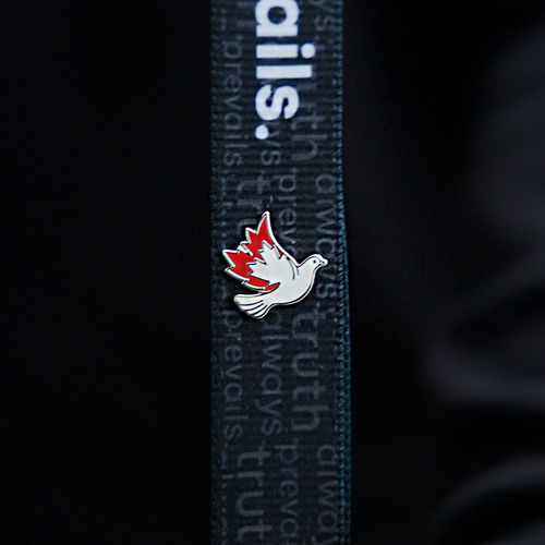 Patriot Pin